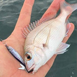 LITTLE JACK METAL ADICT type-ZERO LIGHT BLADE JIGGING 10g