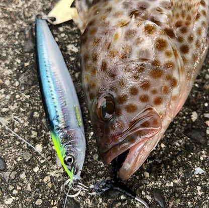 LITTLE JACK METAL ADICT type-ZERO 40g