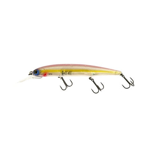IMAKATSU DARDO 100