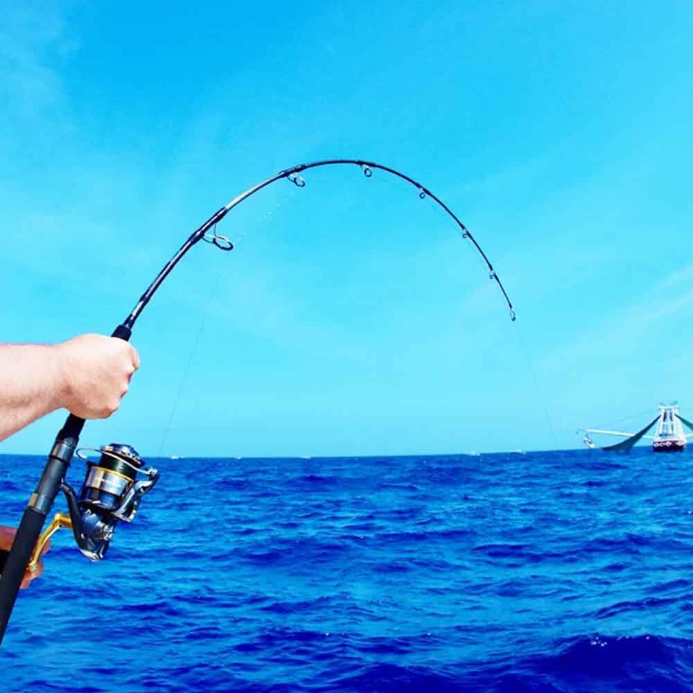 Nomad Design SALTWATER HEAVY JIGGING ROD