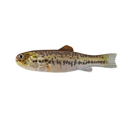 IMAKATSU BASSWORM 145