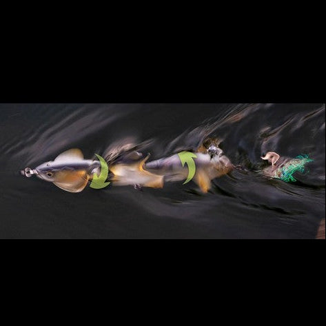 IMAKATSU UMA DEATH ROLL