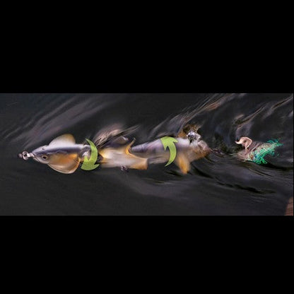IMAKATSU UMA DEATH ROLL