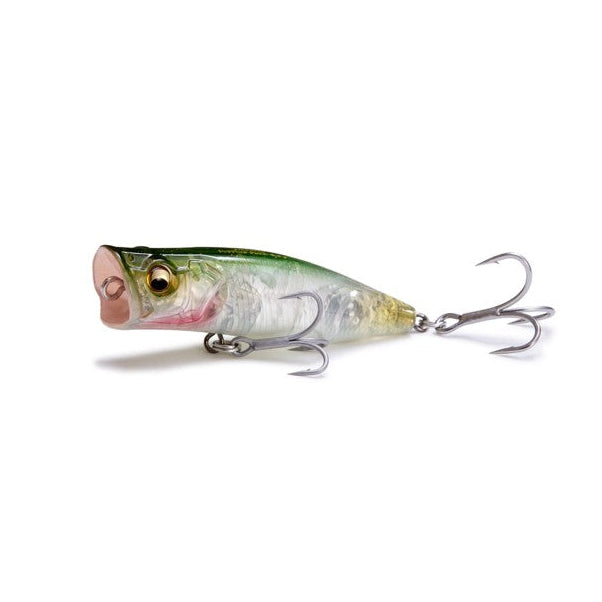 Megabass POPPING DUCK