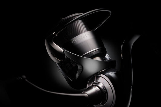 DAIWA CERTRATE FC LT